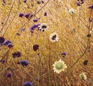 Korbblütler | Malerei von Sven Wiebers | Acryl auf Leinwand, realistisch