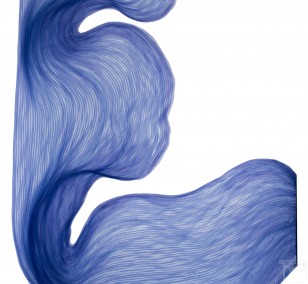 Lavender Blue | Lali Torma | Zeichnung | Kalligraphietusche auf Papier